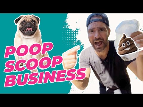 poop scoop business 